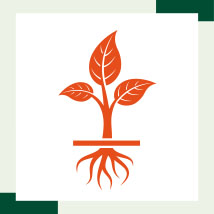 Ventajas