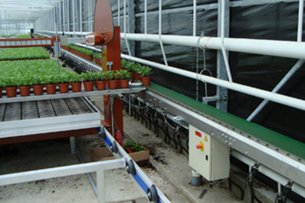 Javo Main Conveyor